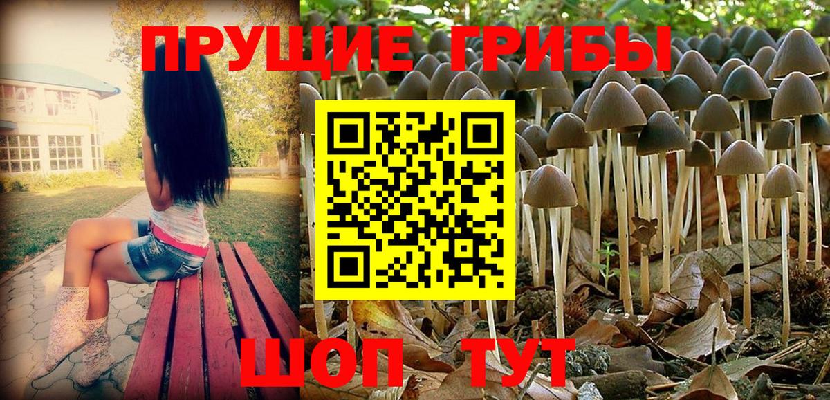 Галлюциногенные грибы прущие грибы Черкесск
